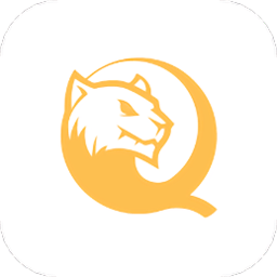 黑豹保险箱视频软件