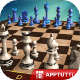 国际象棋双人练习