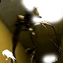 后室(The Backrooms)