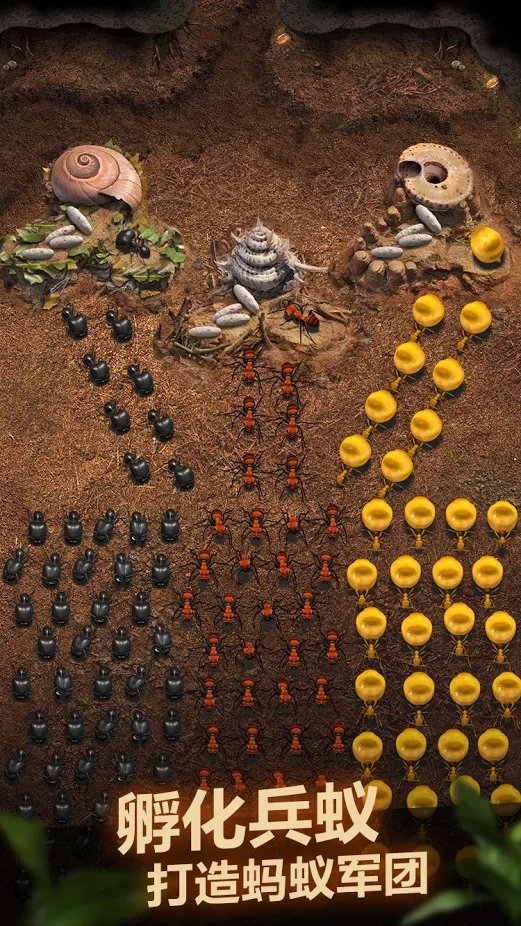 小小蚁国游戏 小小蚁国手机版下载