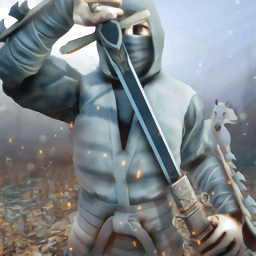 忍者刺客格斗游戏