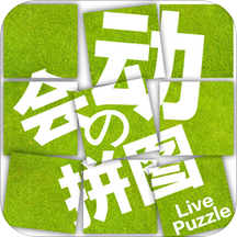 拼来拼趣历史版本