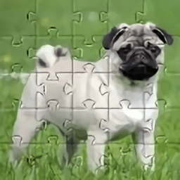 哈巴狗拼图狗游戏(pugs jihsaw puzzle)