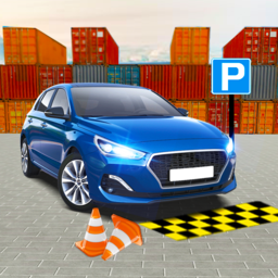 真正的汽车驾驶停车场2021中文版