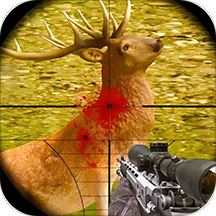 机智的小动物单机版