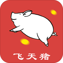 飞天猪维修app