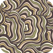 cloudo棵朵官方版