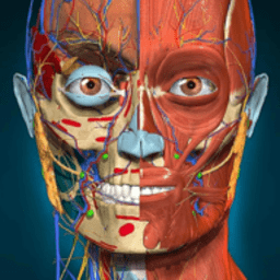 3d解剖学软件(anatomy learning)