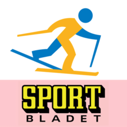 滑雪小能手汉化版