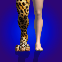 合并动物3d最新版