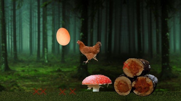 鲤鱼解说母鸡灭绝计划 母鸡灭绝计划手机版游戏下载